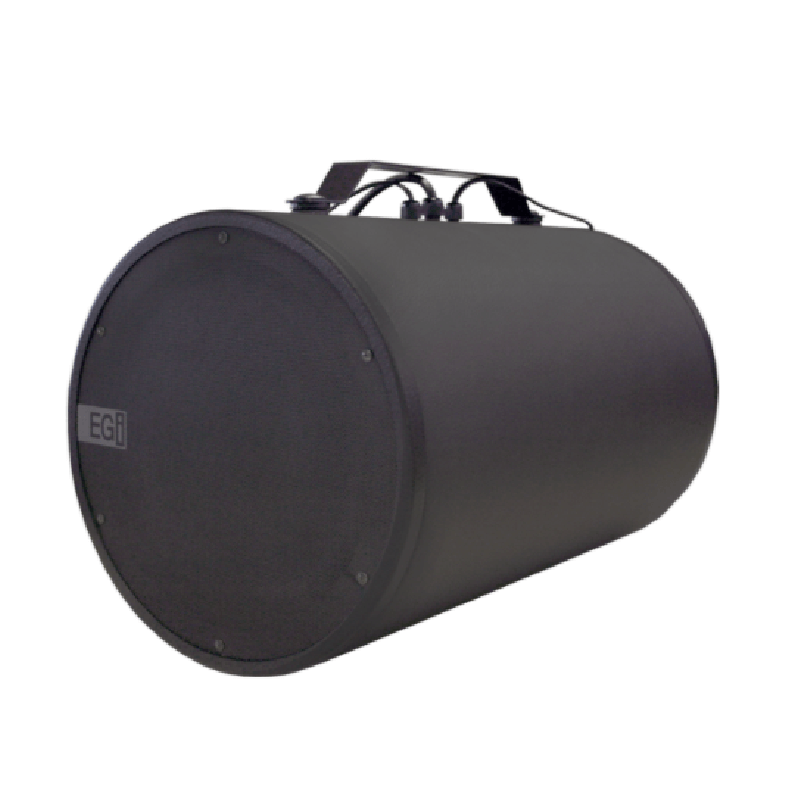 Subwoofer activo 10" con Bluetooth y DSP 100W Biamplificado 06816
